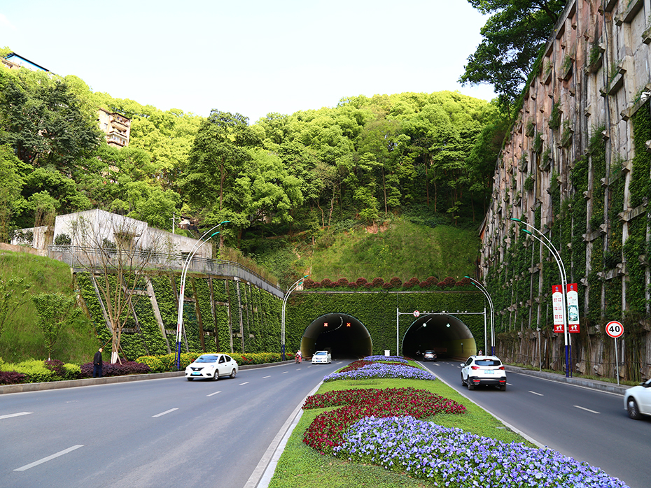 忠山隧道景觀提升